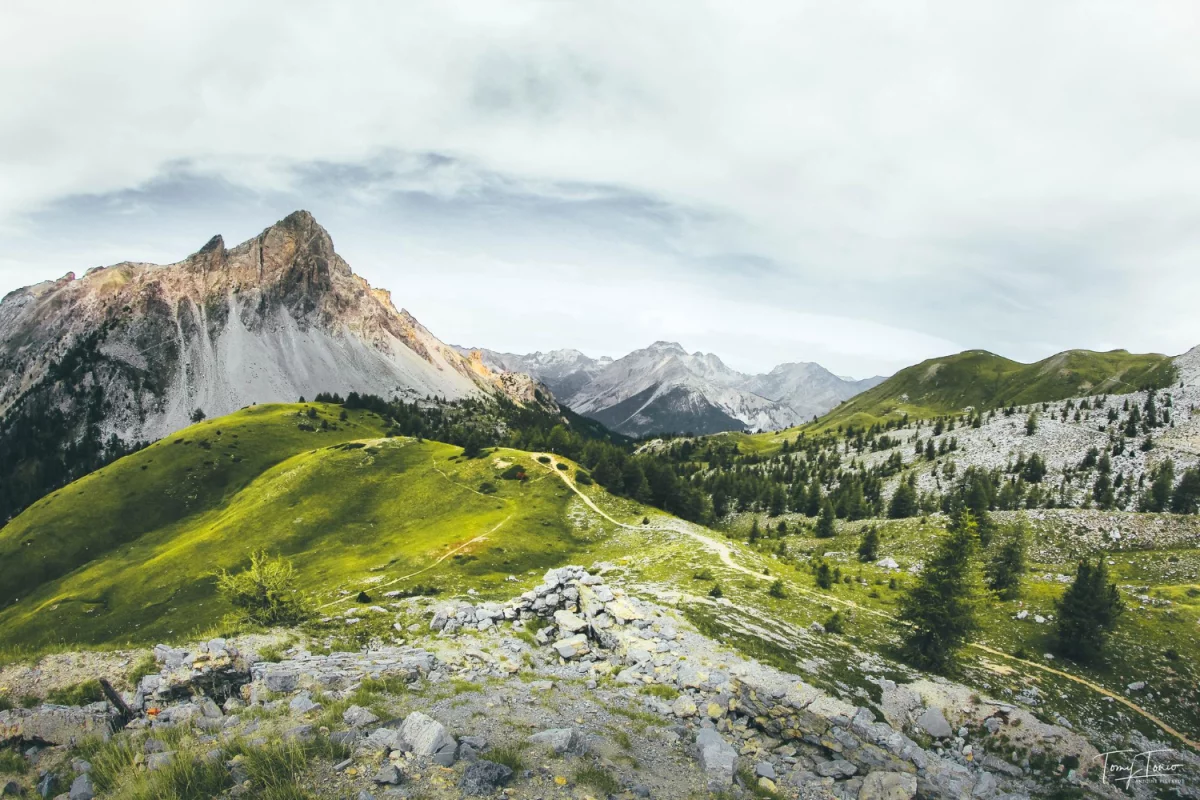 Kto może kupić samochód?