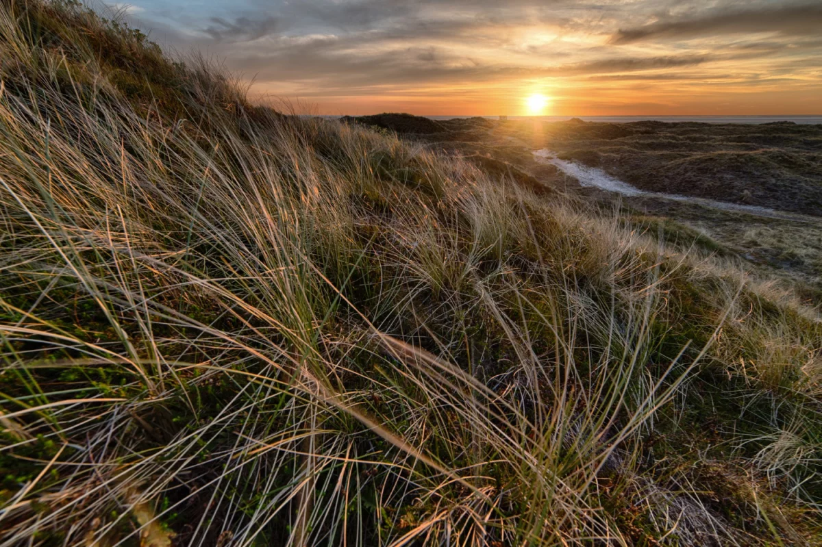 4 Największych Mitów O Tym Jak reklamować biznes