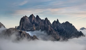 Jak przewozić maszyny budowlane Natychmiastowo?