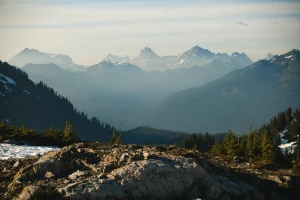 Masz dom? Na pewno kiedyś przyda Ci się wynajem podnośnika koszowego
